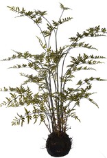 Jasaco Kunstplant - Moss base fern 100 cm