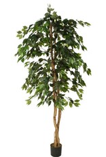Jasaco Kunstplant - Ficus basic 180 cm