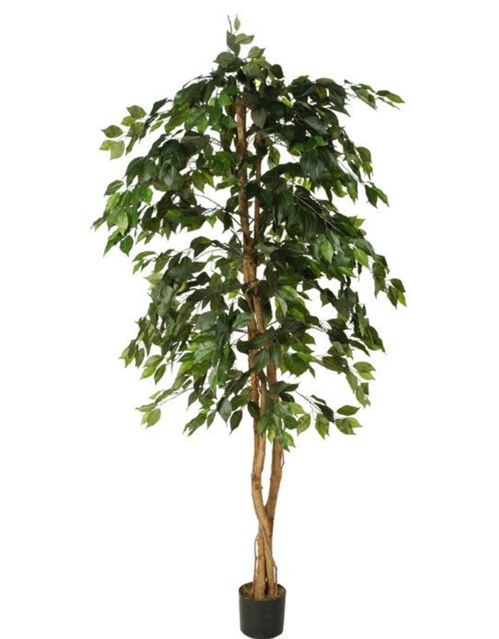 Jasaco Kunstplant - Ficus basic 180 cm