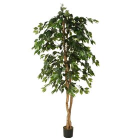 Jasaco Kunstplant - Ficus basic 180 cm