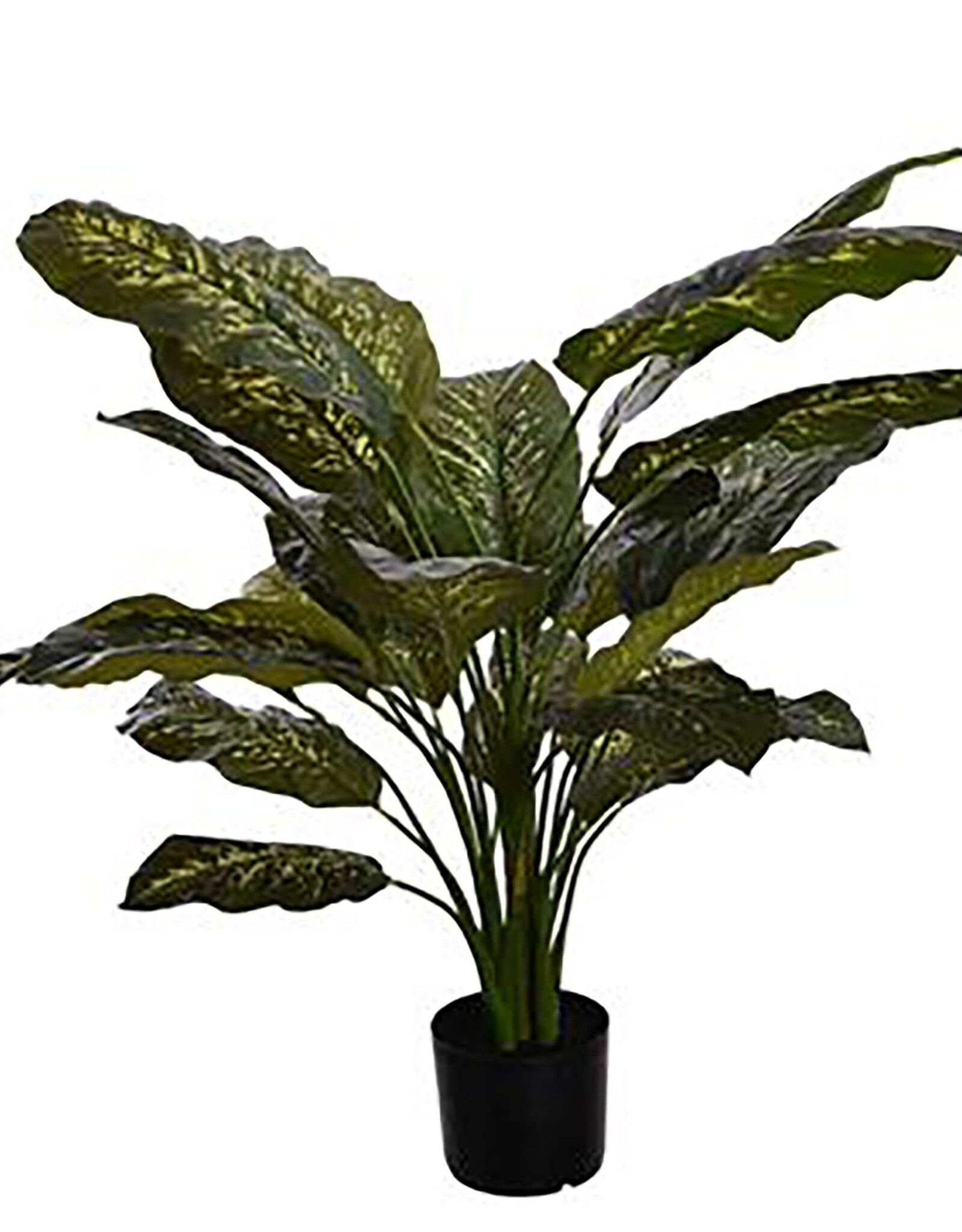 Jasaco Kunstplant - Diefenbachia 90 cm