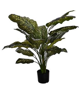 Jasaco Kunstplant - Diefenbachia 90 cm