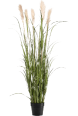 Jasaco Kunstplant - Grass plum in pot 48 cm