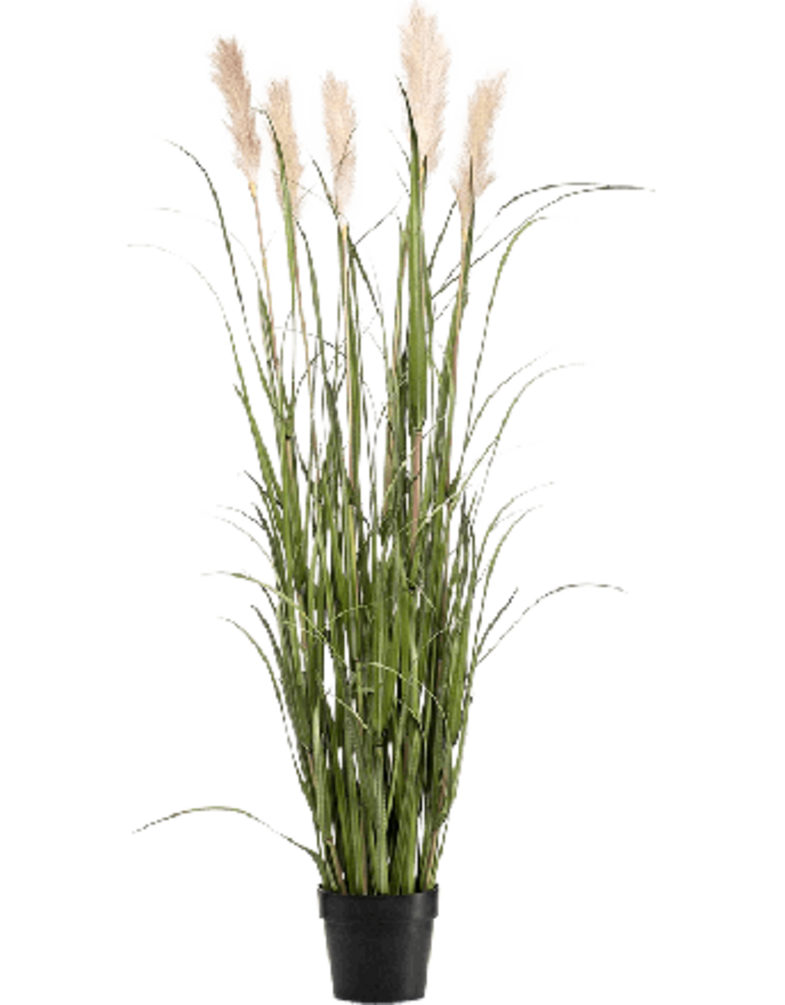Jasaco Kunstplant - Grass plum in pot 48 cm