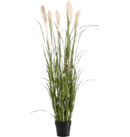 Jasaco Kunstplant - Grass plum in pot 48 cm