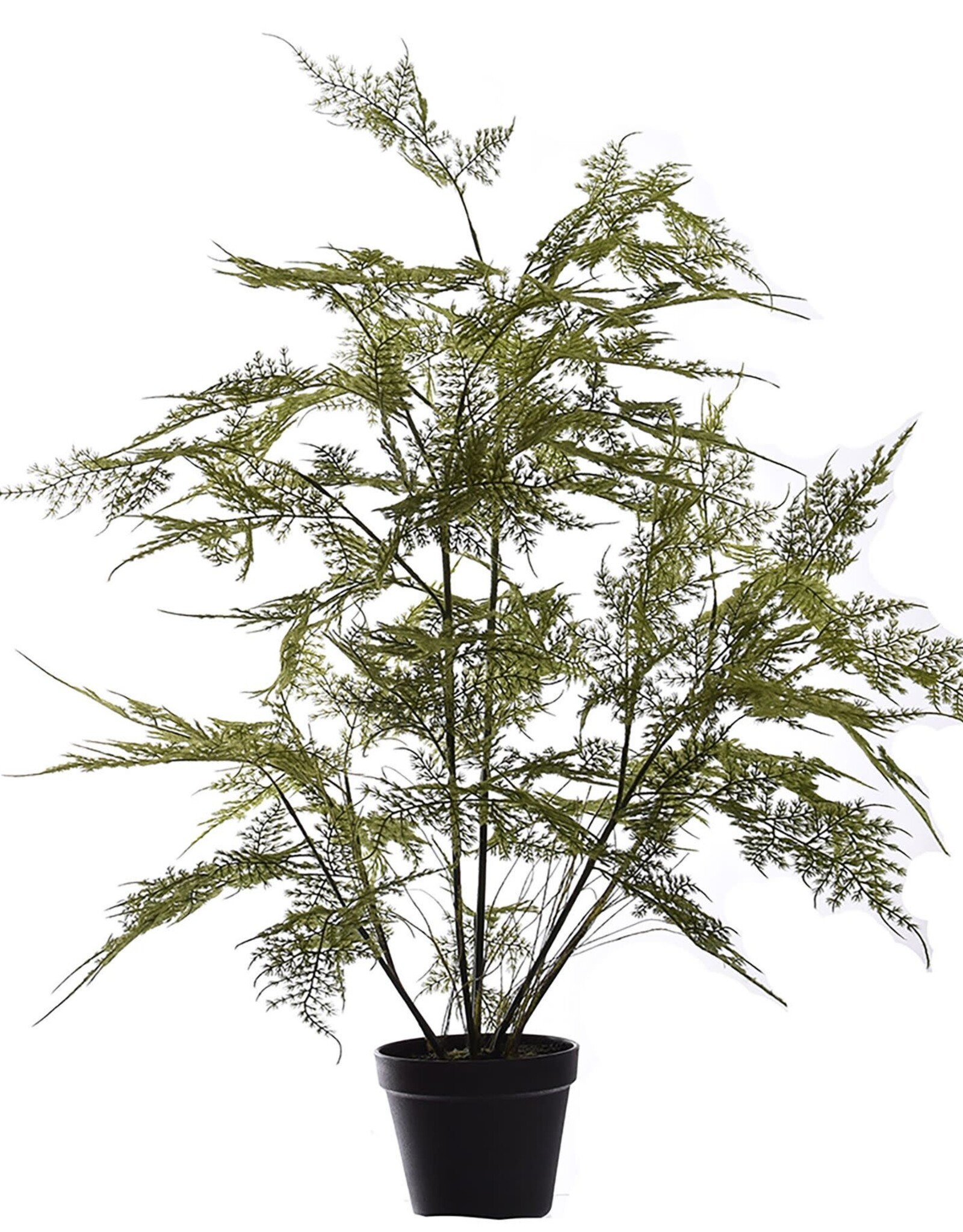 Jasaco Kunstplant - Asparagus 50 cm