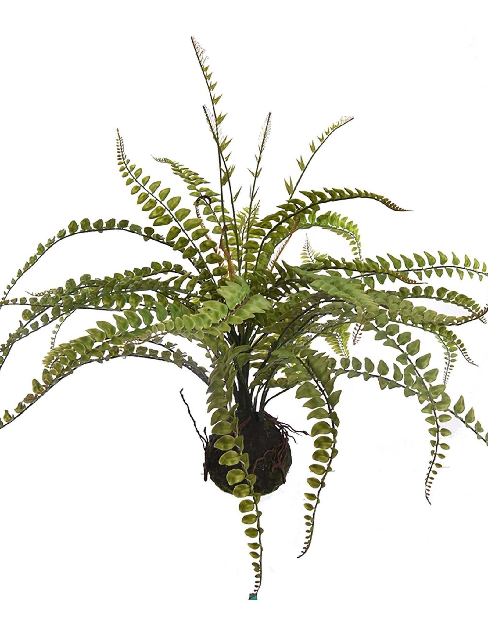 Jasaco Kunstplant - Fern on mud base 56 cm