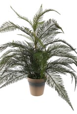 Jasaco Kunstplant - Varen 60 cm