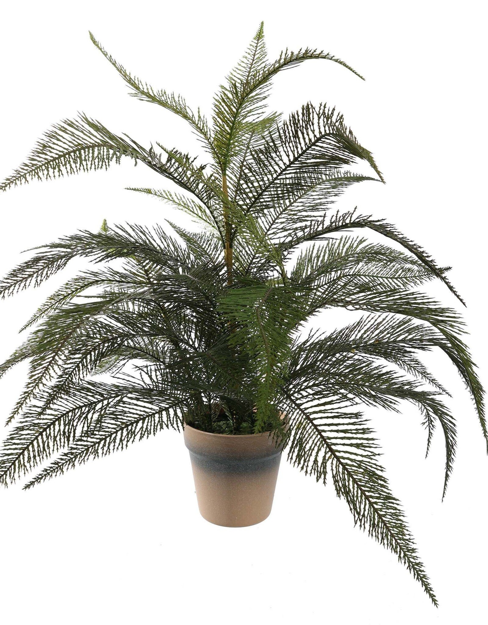 Jasaco Kunstplant - Varen 60 cm