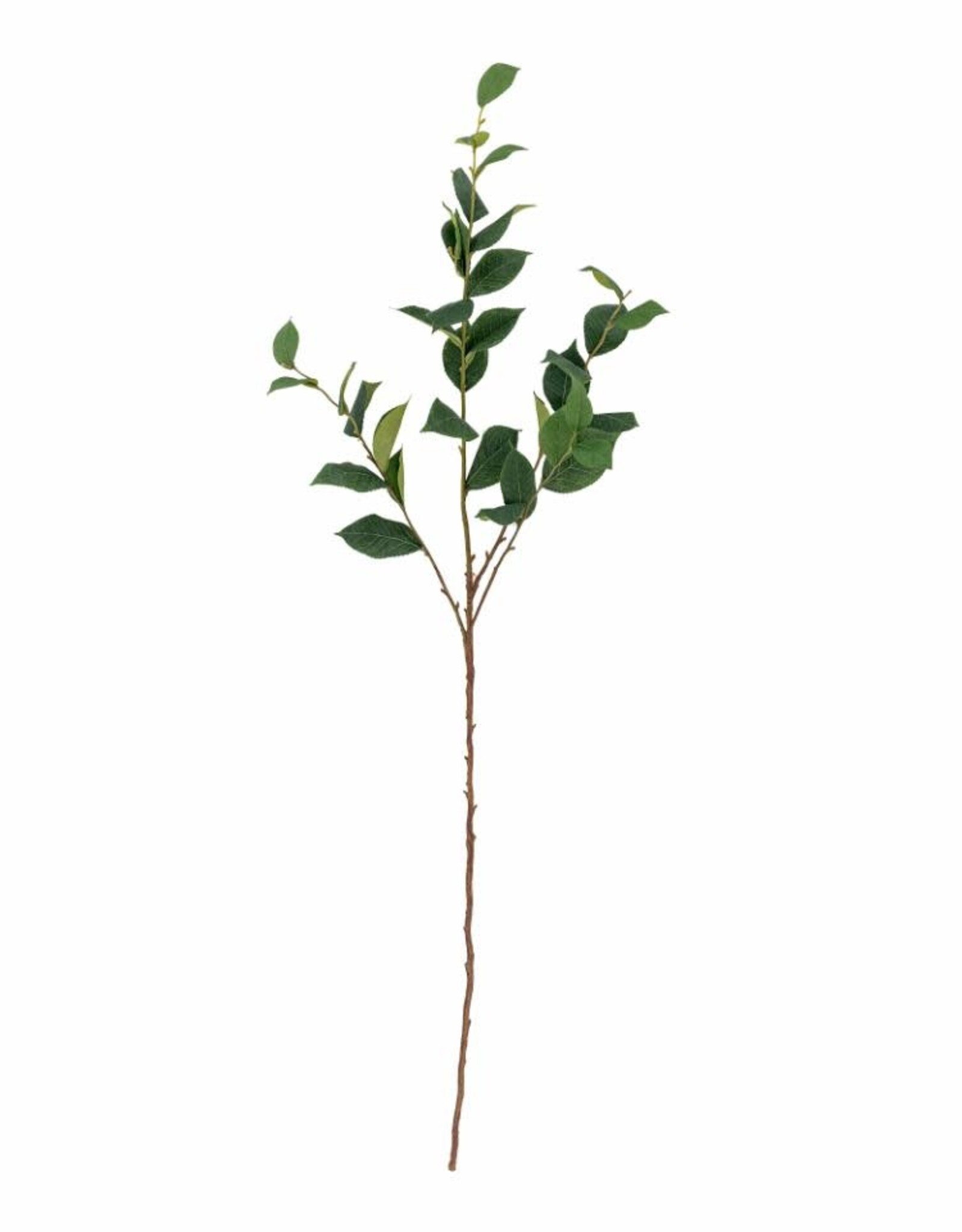 Bloomingville Kunstbloem - Eucalyptus - groen 25x110