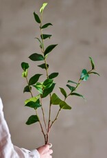 Bloomingville Kunstbloem - Eucalyptus - groen 25x110