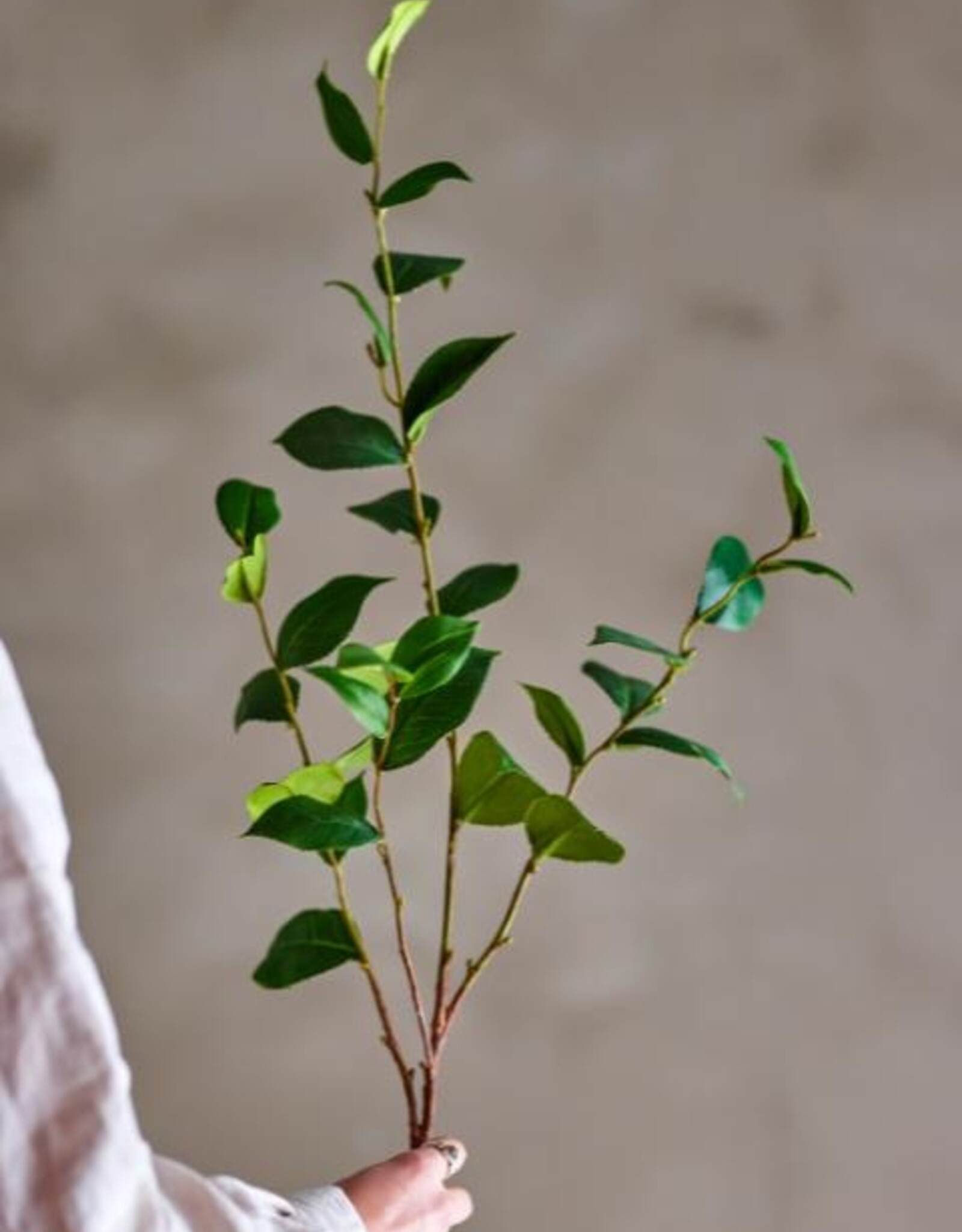 Bloomingville Kunstbloem - Eucalyptus - groen 25x110