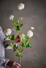 Bloomingville Kunstbloem - Chrysant - wit 24x101