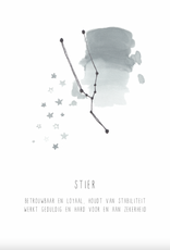 Kaart sterrenbeeld - Stier