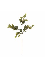 Bloomingville Kunstbloem - Eucalyptus Stem, Green 20x92cm