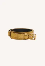 by bar Riem - Gold M
