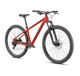 Specialized  Rockhopper Elite 29