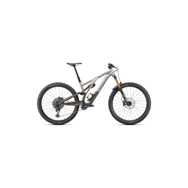 Specialized  Stumpjumper Evo Elite Alloy