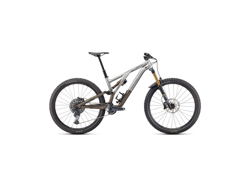 Specialized Stumpjumper Evo Elite Alloy