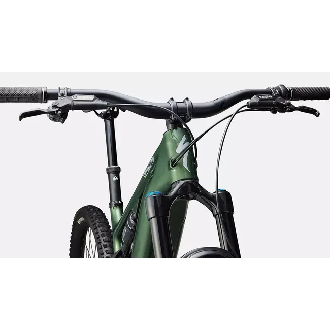 Specialized  Turbo Levo 4 Expert Cypress Green Metallic