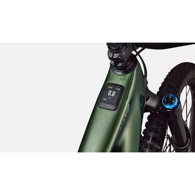 Specialized  Turbo Levo 4 Expert Cypress Green Metallic
