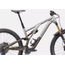 Specialized  S-Works Stumpjumper EVO