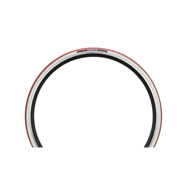 ELITE Coperton Reifen für Rollentrainer