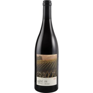 Galil Mountain Alon - Rode wijn