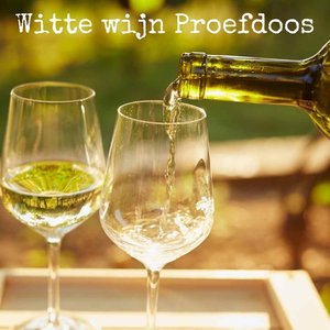 Witte wijn Proefdoos 12 Flessen - Wijnpakket