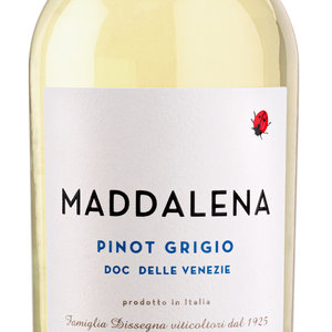 Dissegna Vini Pinot Grigio - Witte Wijn