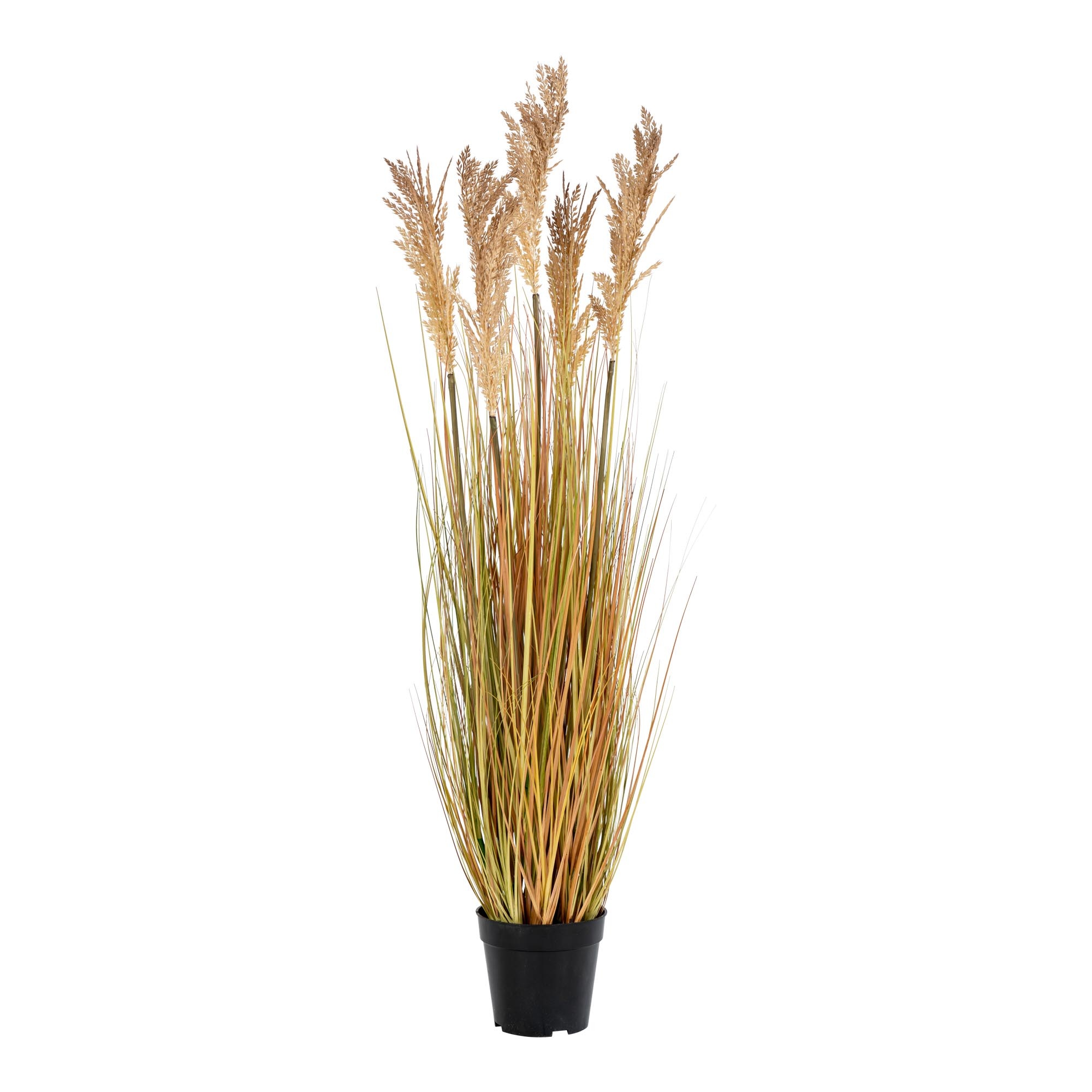 Moderne oranje %27%27Sorghum%27%27 gras - L35xB30xH110 cm