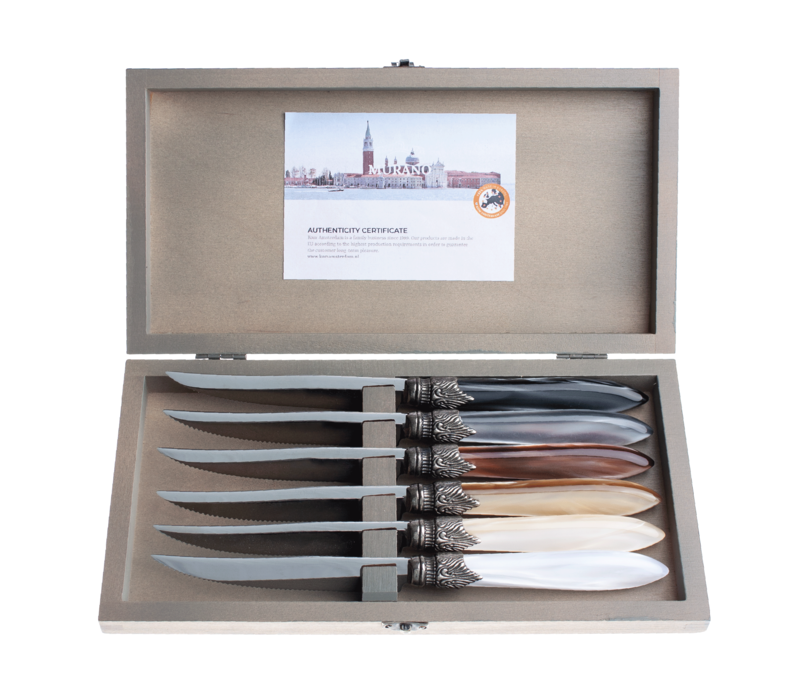 Murano 6 Steak Knives in Box Earth Mix