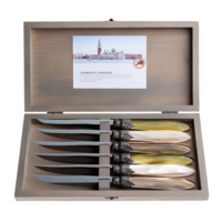 Murano 6 Steak Knives in Box  Meadow Mix