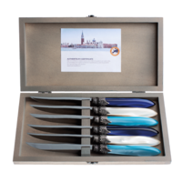 Murano 6 Steak Knives in Box Sea Mix