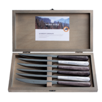 Wood Style 6 Steak Knives in Box Glacier Mix