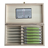 Laguiole Laguiole Exclusive 6 Steakmesser Apfelgrün