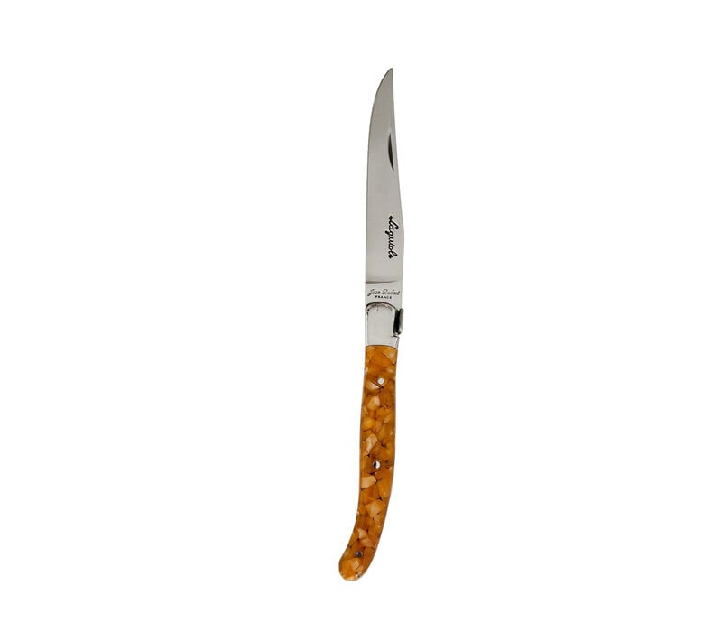 Laguiole Premium 6 Steakmessen Schildpadpatroon