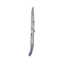 Laguiole Premium 6 Steakmessen Oceaan
