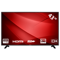 RB43F3 43 inch Full HD LED TV met HDMI/USB-aanluiting
