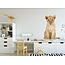 Wall Sticker Lion