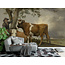 Walldesign56 Zelfklevend fotobehang op maat - De Stier van Paulus Potter