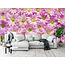 Walldesign56 Zelfklevend fotobehang op maat - Roze Madeliefjes