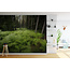 Walldesign56 Zelfklevend fotobehang op maat - Jungle 6