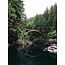 Walldesign56 Selbstklebende Fototapete angepasst - Brücke im Wald