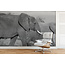 Walldesign56 Zelfklevend fotobehang op maat - Olifant