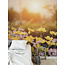 Walldesign56 Self-adhesive photo wallpaper custom size - Flowers in the sun