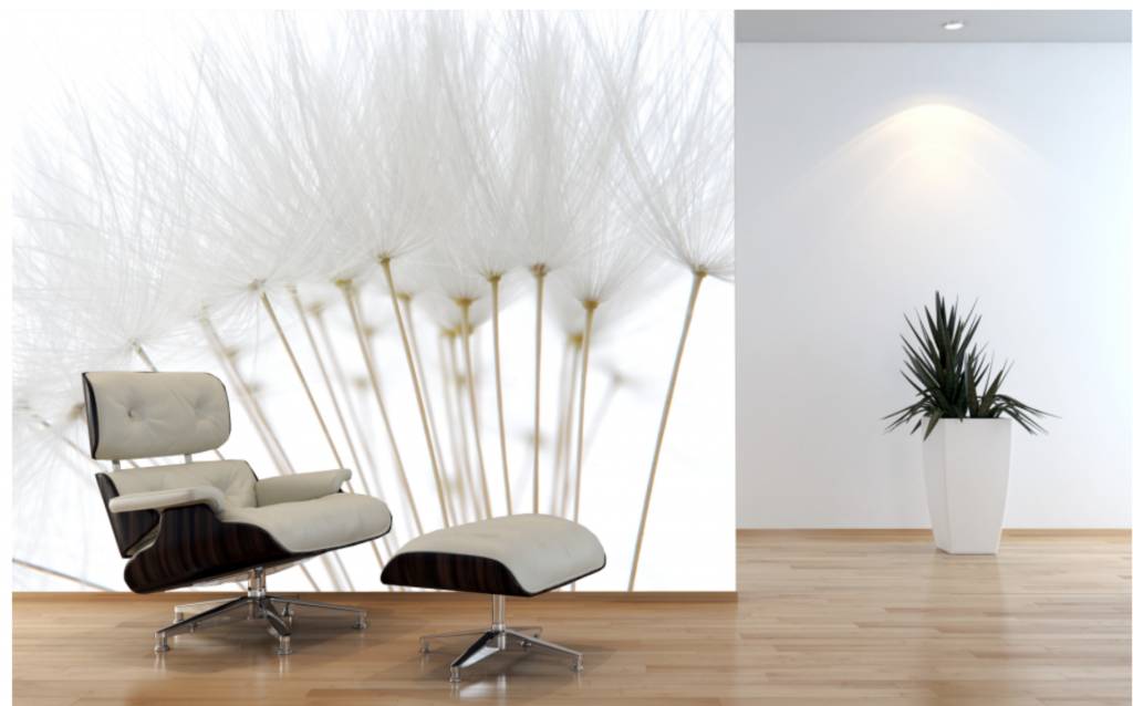fotobehang paardenbloem - walldesign56