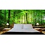 Walldesign56 Selbstklebende Fototapete angepasst - Wald Sonnenaufgang 4