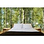 Mural Forest Birch Trees