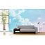 Mural Clouds 2